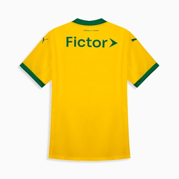 Jersey Woman Palmeiras 2025/26 III Fan
