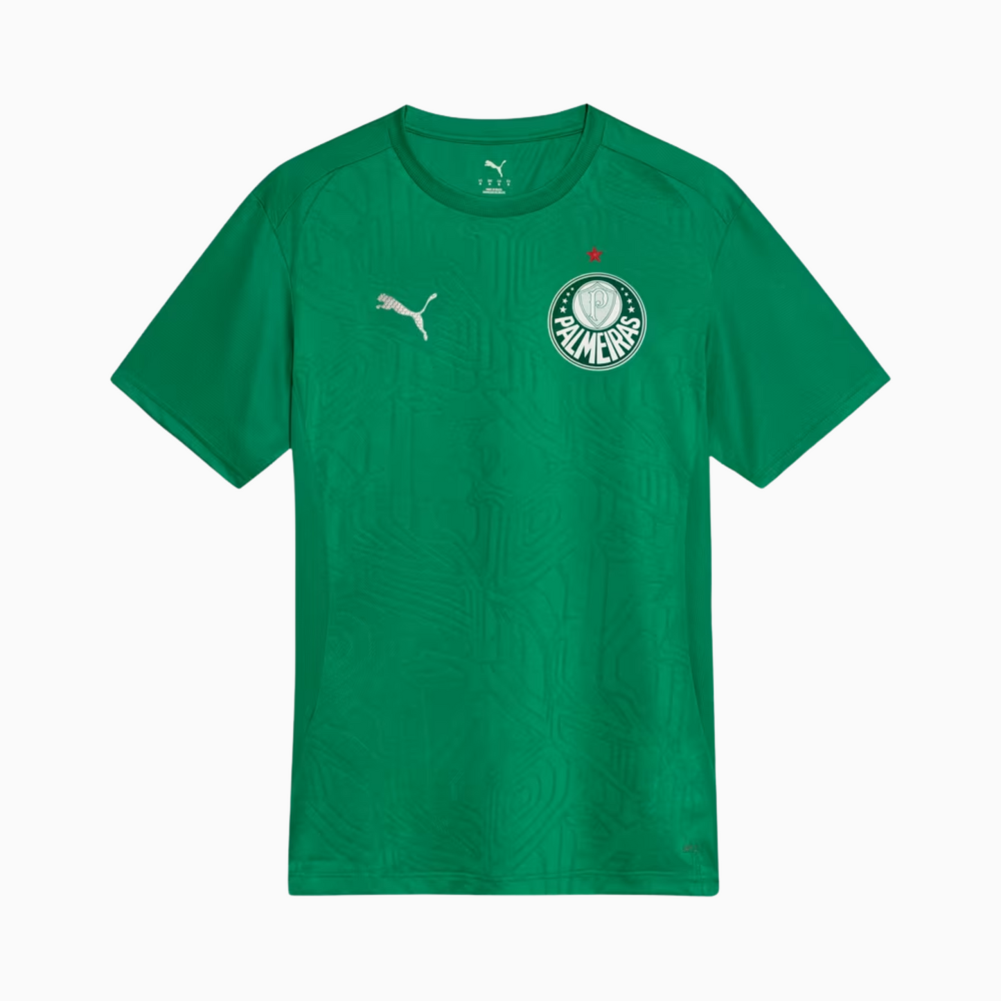 Jersey Palmeiras 2025/26 Training