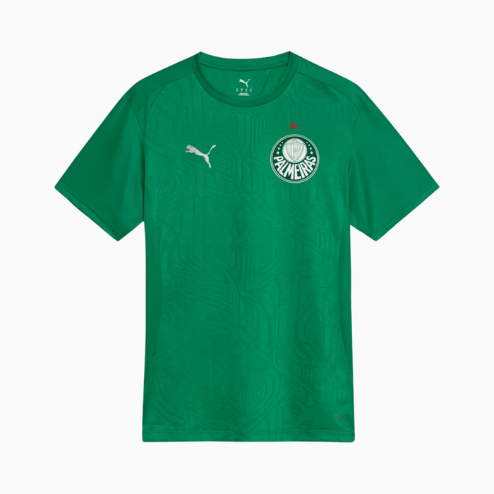 Jersey Palmeiras 2025/26 Training