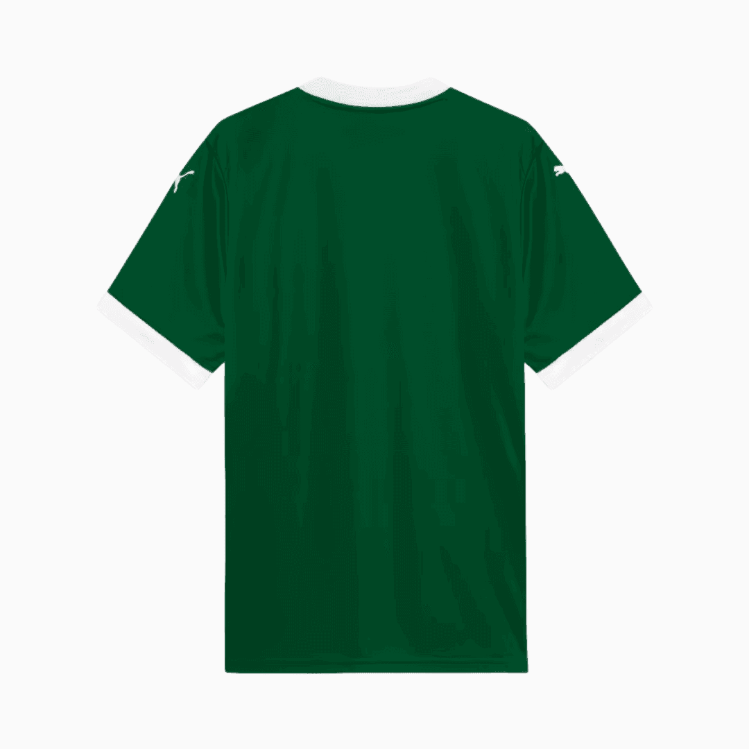 Jersey Palmeiras 2025/26 I Fan