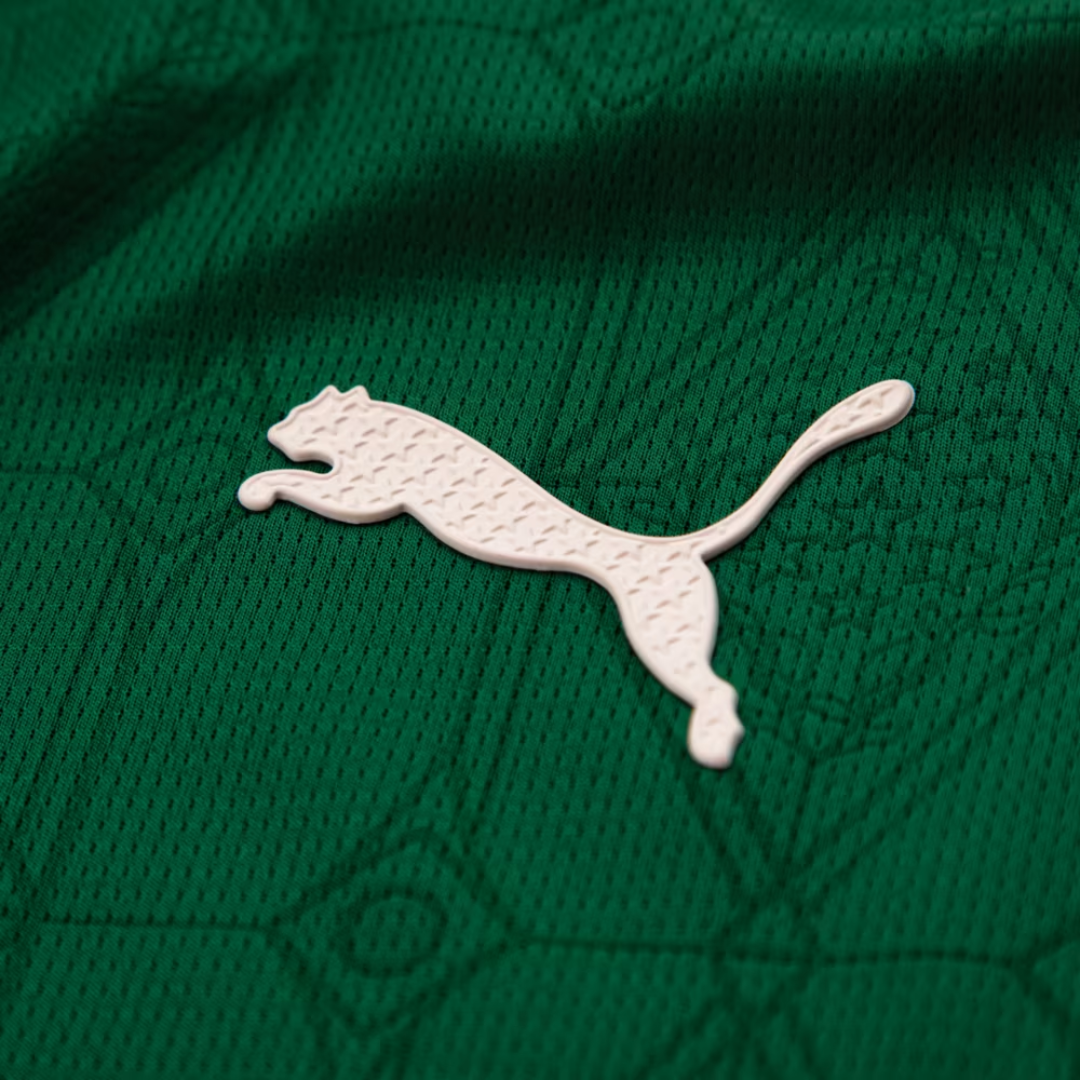 Jersey Palmeiras 2025/26 I Player