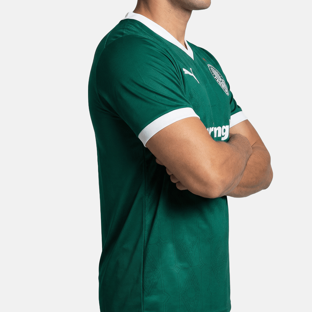 Jersey Palmeiras 2025/26 I Player