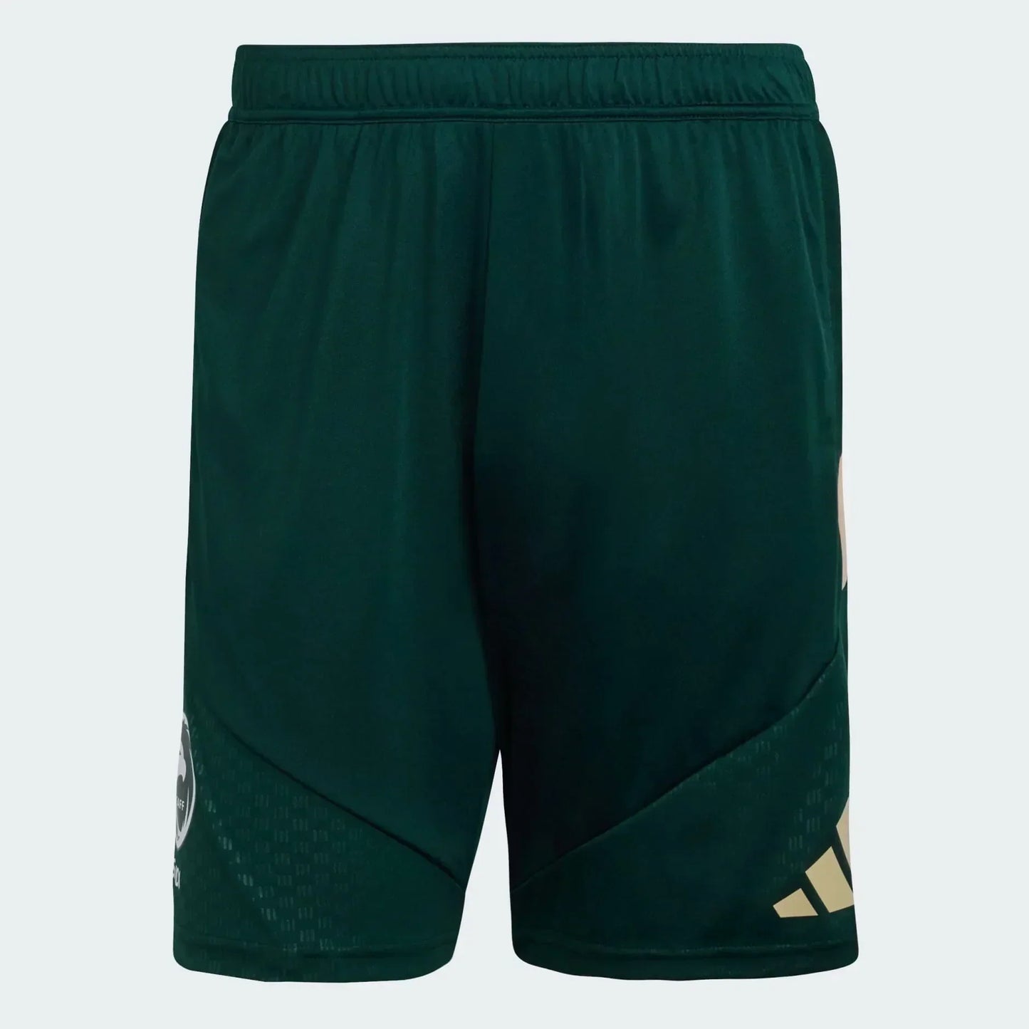 Shorts Saudi Arabia 2026 Training World Cup